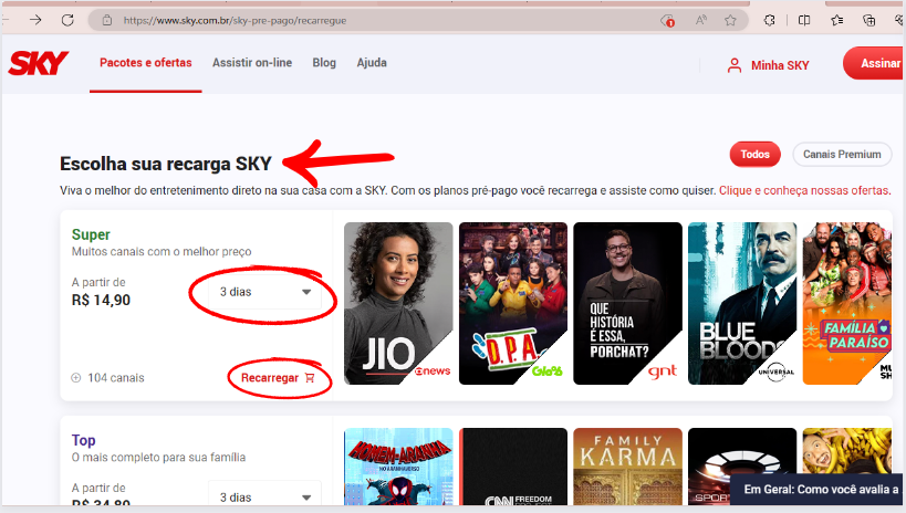Print do site SKY na seção de recarga