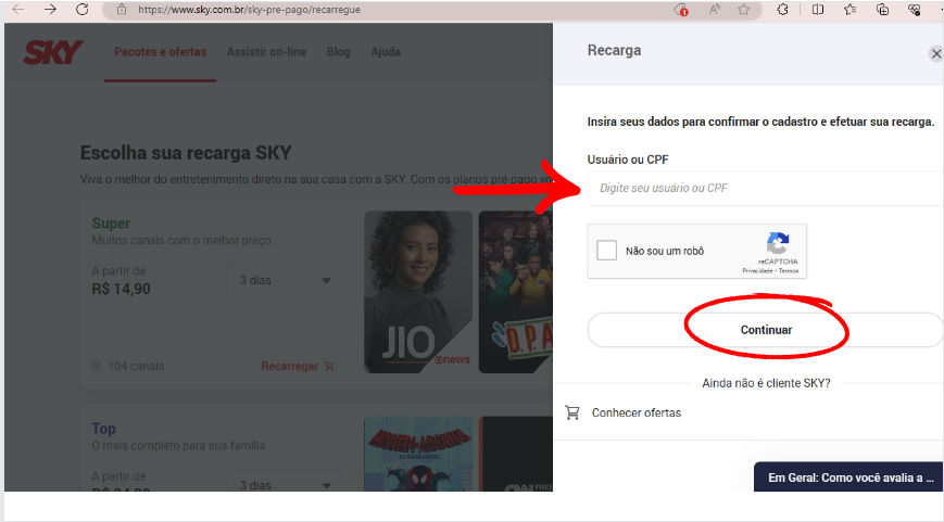 Print do site SKY na seção de recarga