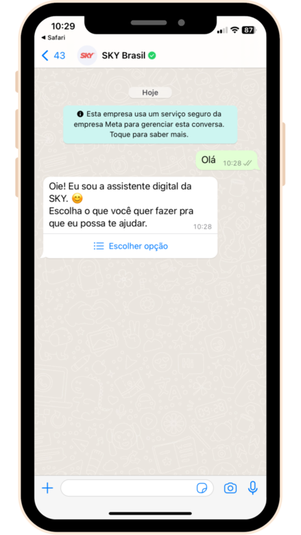 captura de tela do WhatsApp SKY com mensagem olá