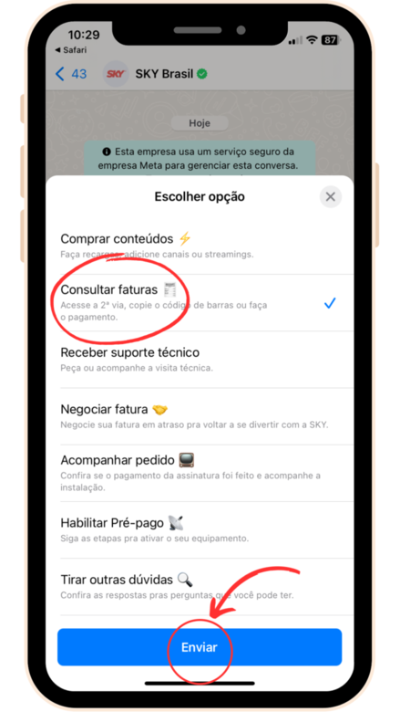 captura de tela whatsApp SKY com menu de atendimento