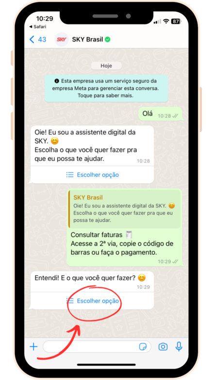 captura de tela whatsApp SKY com segundo menu