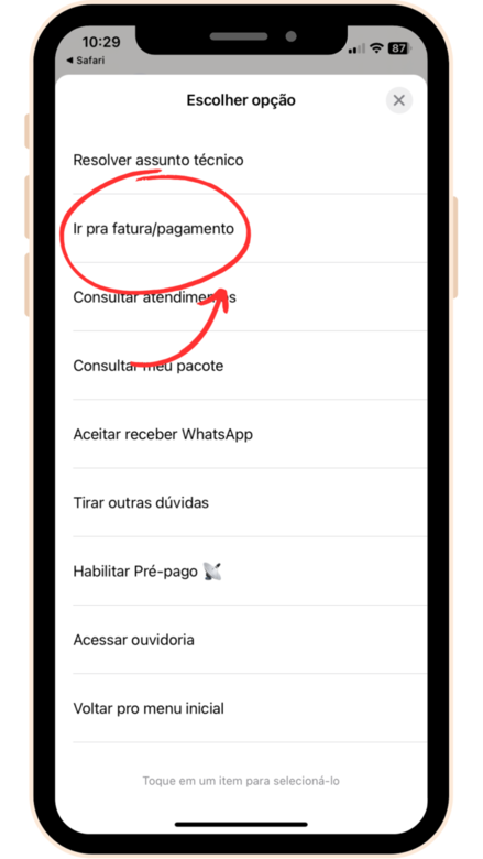 captura de tela whatsApp SKY com opção ir para pagamento
