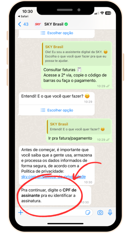 captura de tela whatsApp sky com mensagem solicitando cpf