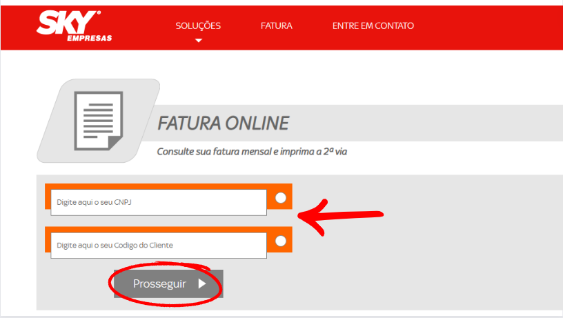 Print do site sky empresas