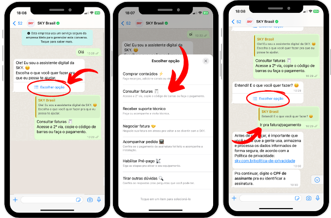 Print de conversa com atendente SKY no WhatsApp com passo a passo de como solicitar fatura pelo WhatsApp